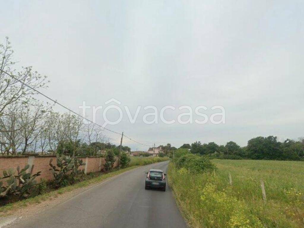 immagine annuncio 3 di 8