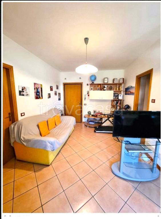 immagine annuncio 2 di 6