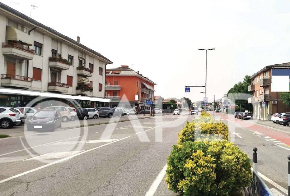 immagine annuncio 1 di 14