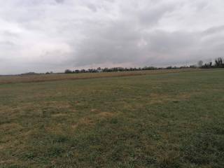 Terreno agricolo in vendita a udine via bariglaria