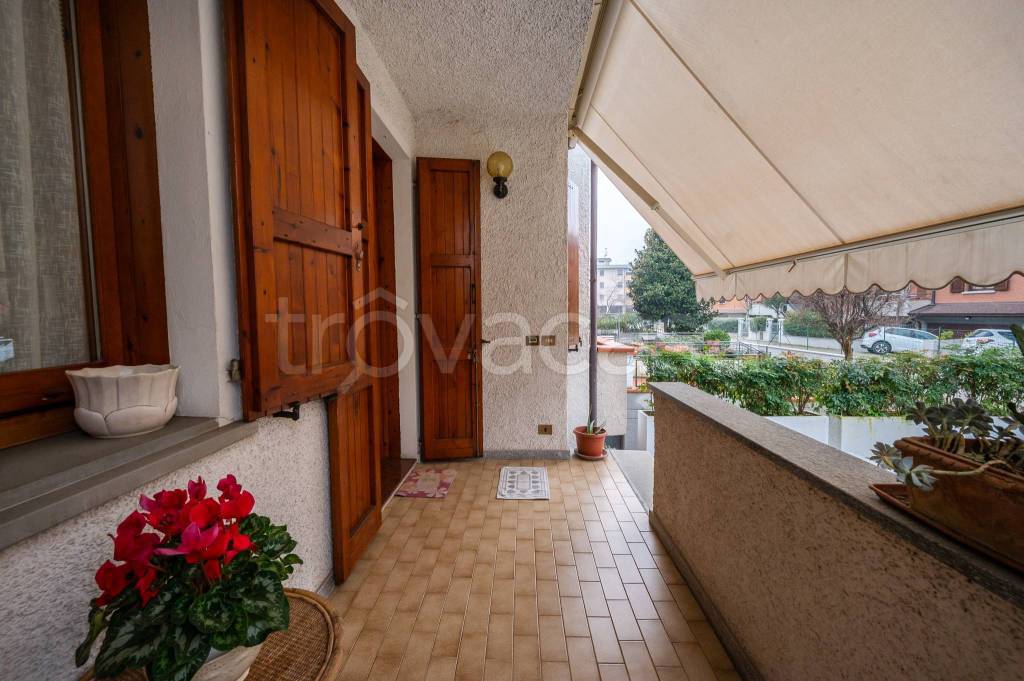 immagine annuncio 1 di 15