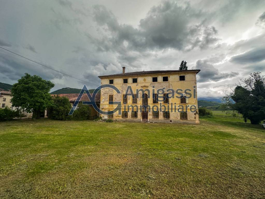 immagine annuncio 4 di 14