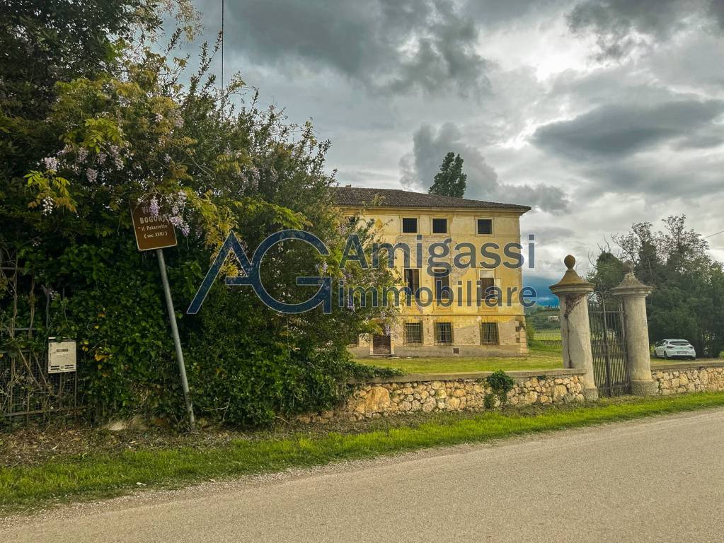 immagine annuncio 12 di 14