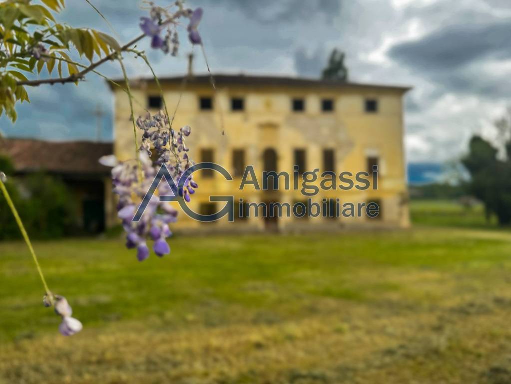 immagine annuncio 13 di 14