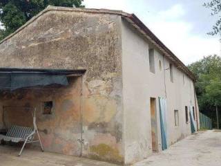 Cascina in vendita a fano 