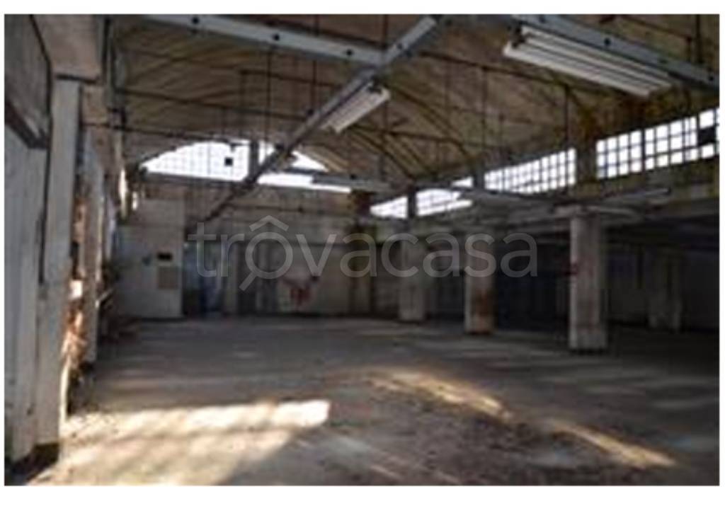 immagine annuncio 9 di 13