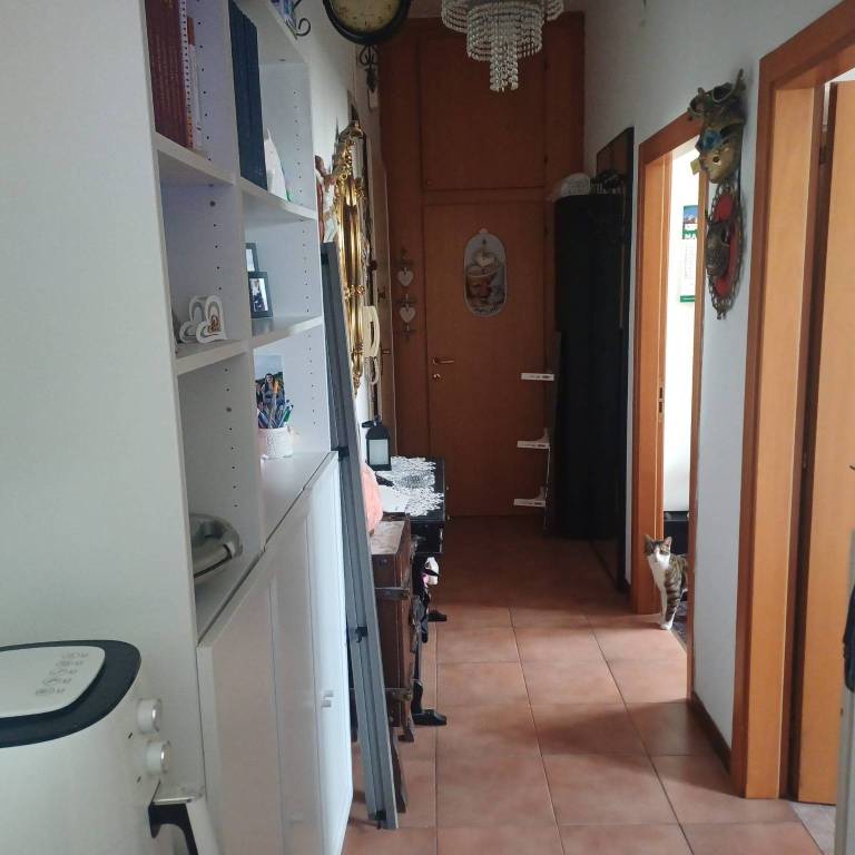 immagine annuncio 10 di 14