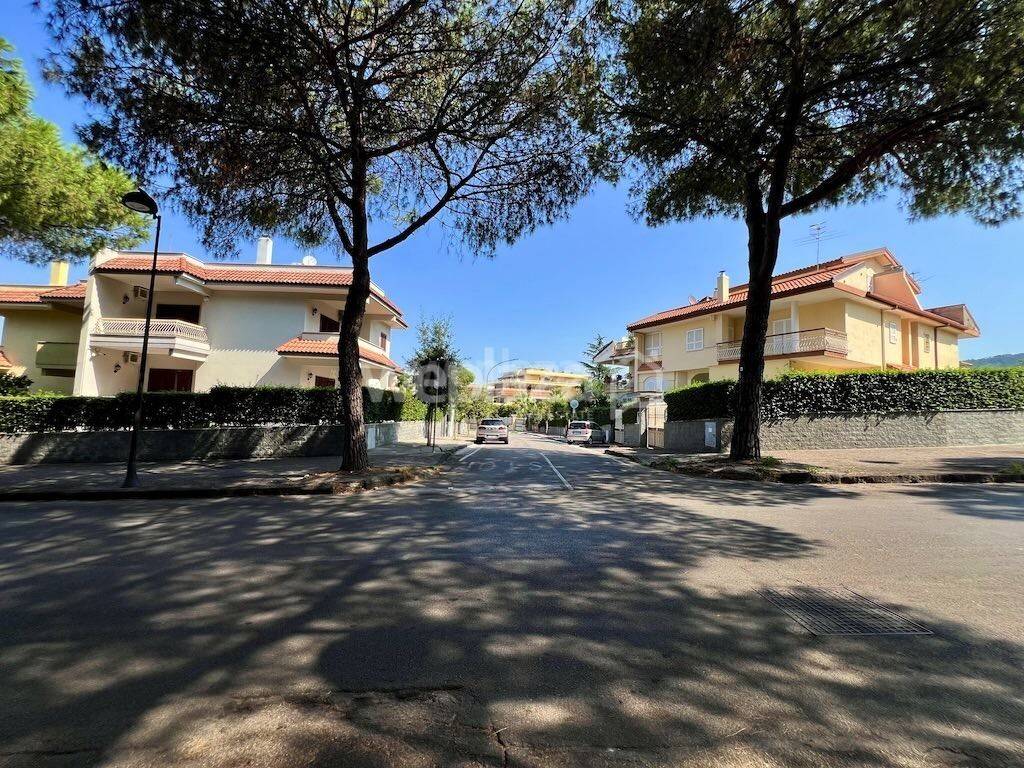 immagine annuncio 4 di 8