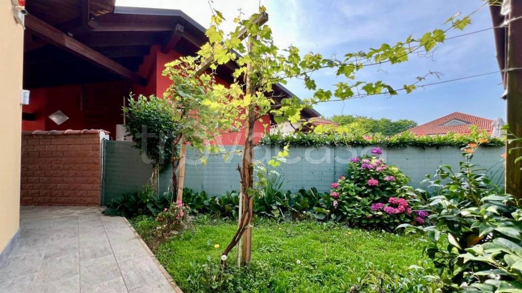 immagine annuncio 3 di 15