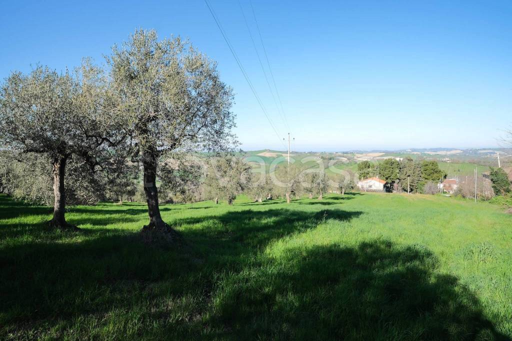 immagine annuncio 2 di 3