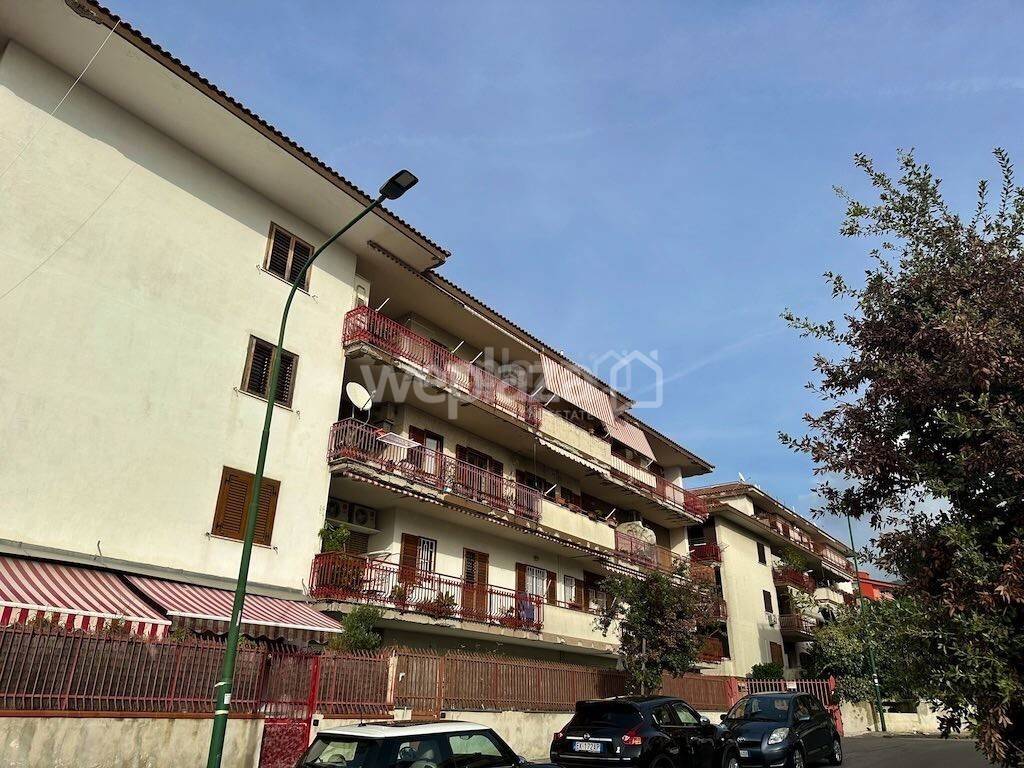 immagine annuncio 5 di 9