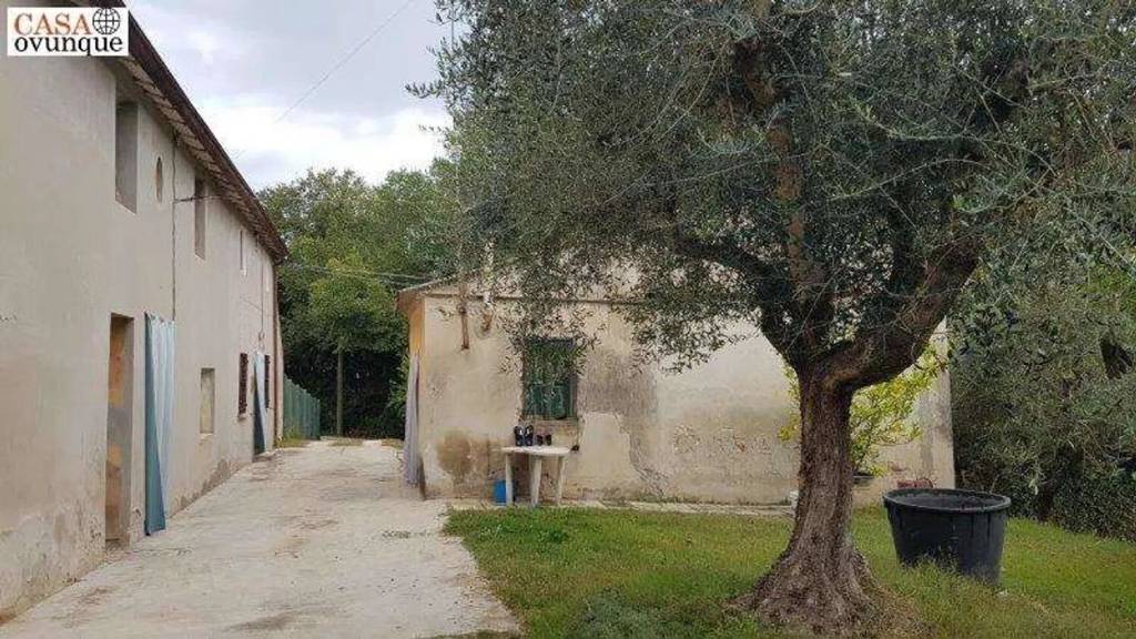 immagine annuncio 8 di 12