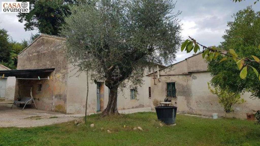 immagine annuncio 10 di 12