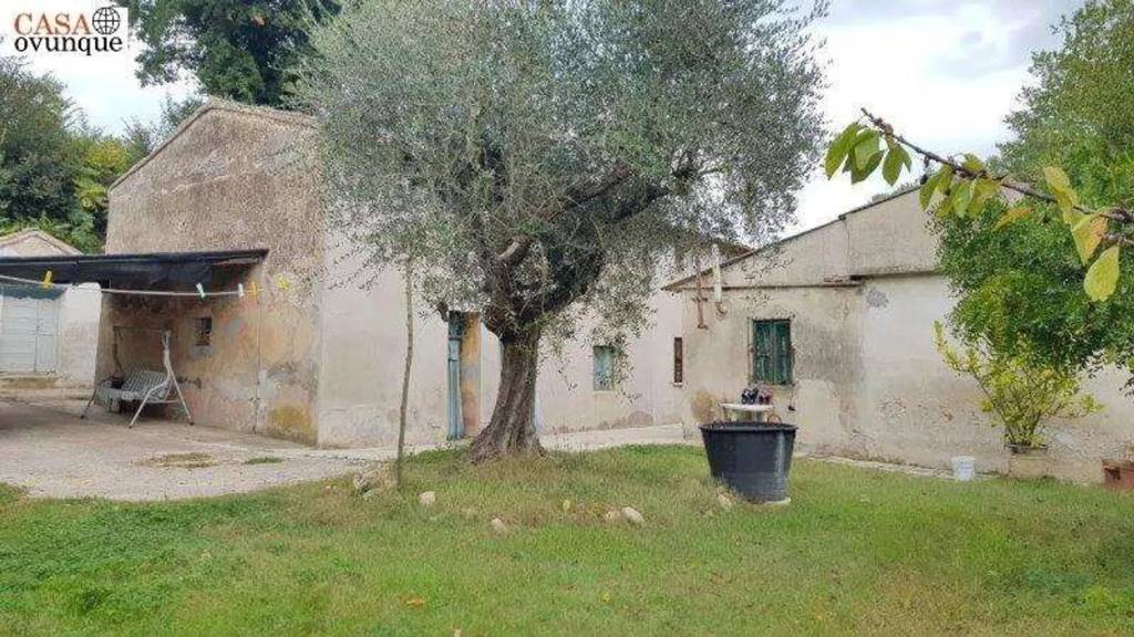 immagine annuncio 11 di 12