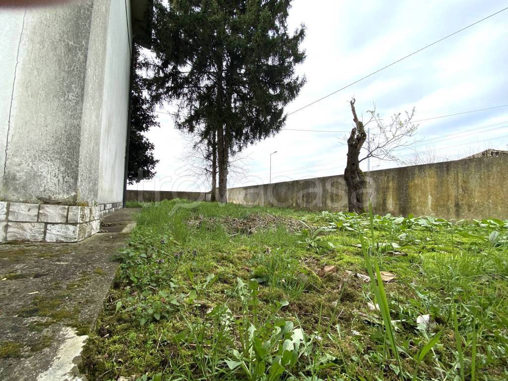 immagine annuncio 6 di 7