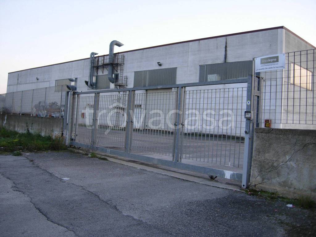 immagine annuncio 4 di 14