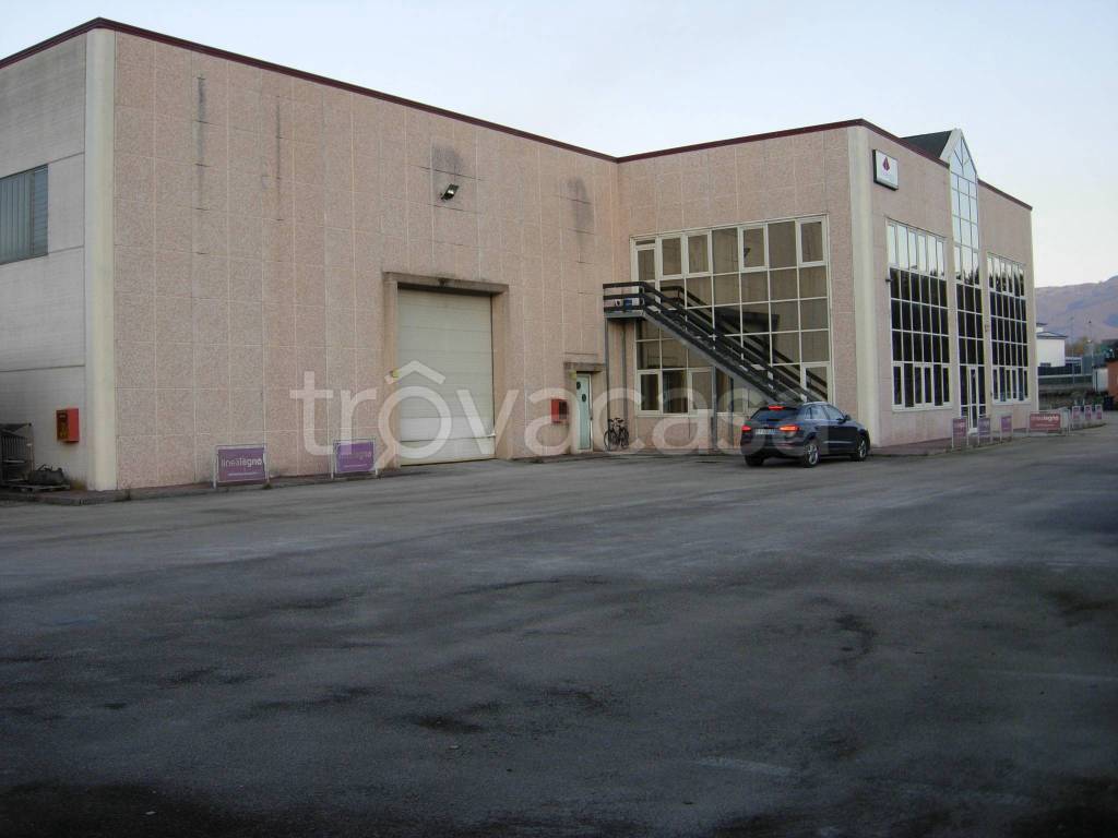 immagine annuncio 7 di 14