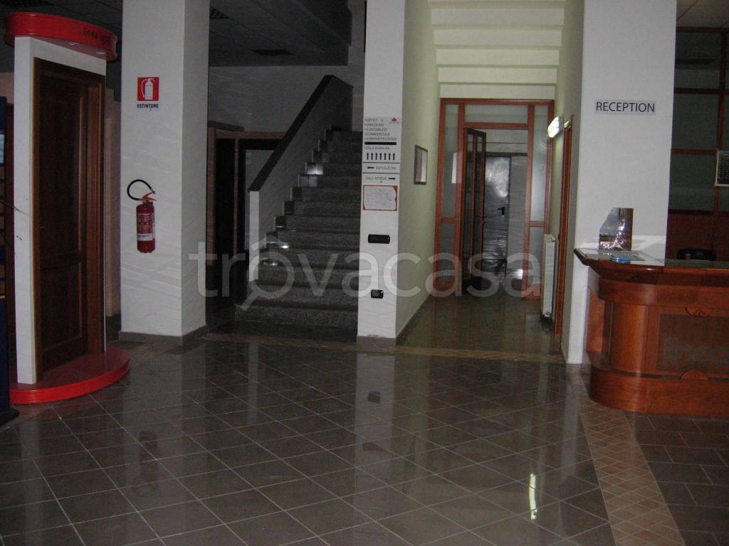 immagine annuncio 9 di 14