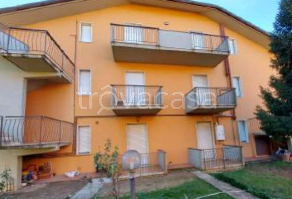 immagine annuncio 9 di 12