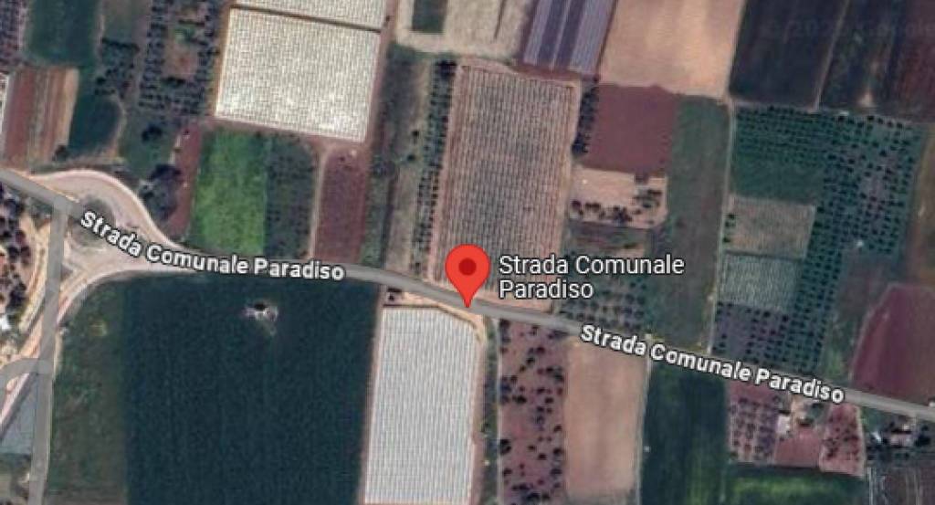 immagine annuncio 10 di 12