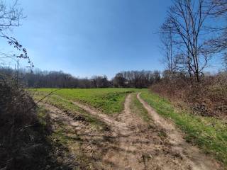 Terreno agricolo in vendita a varese via novellina