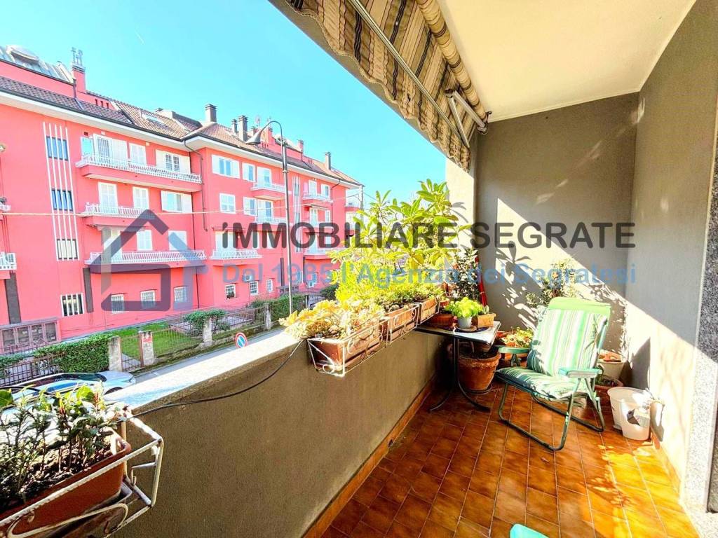 immagine annuncio 12 di 15