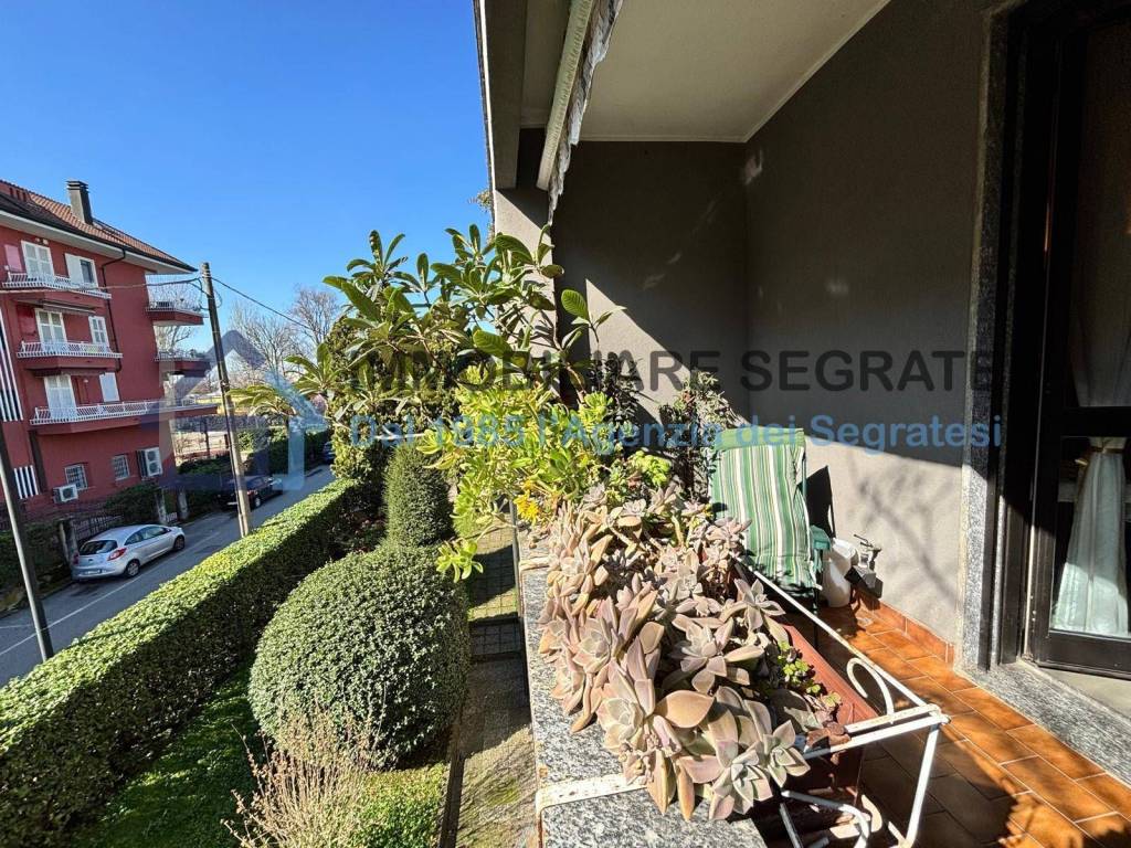 immagine annuncio 14 di 15