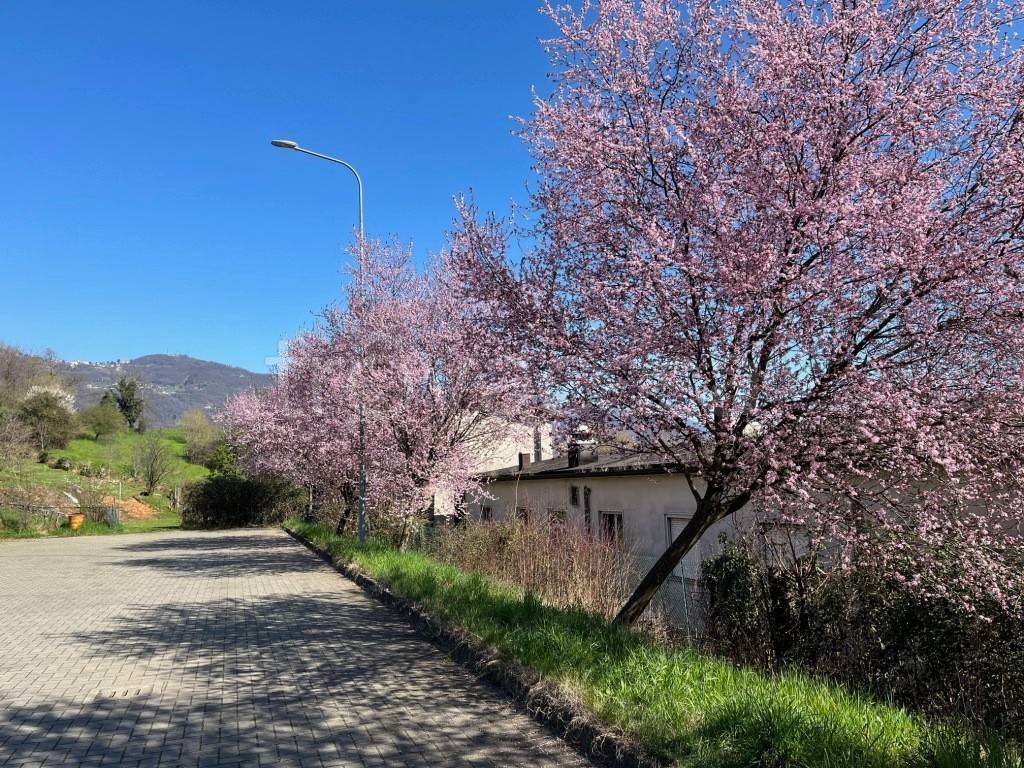 immagine annuncio 6 di 8