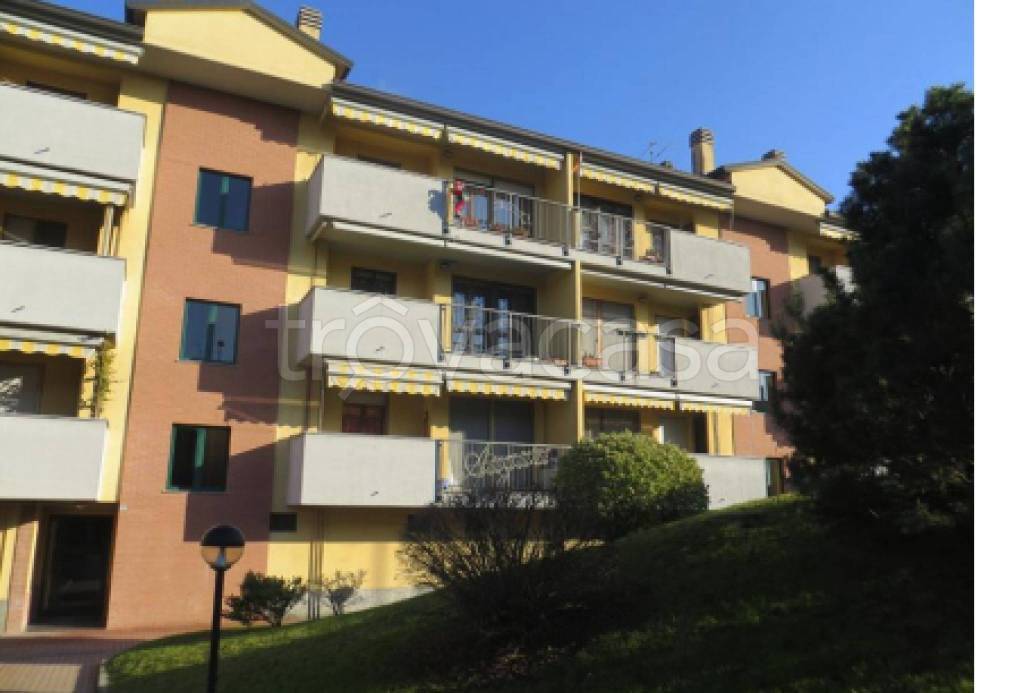 immagine annuncio 9 di 12
