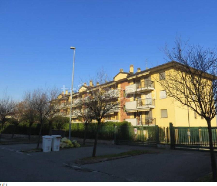 immagine annuncio 11 di 12