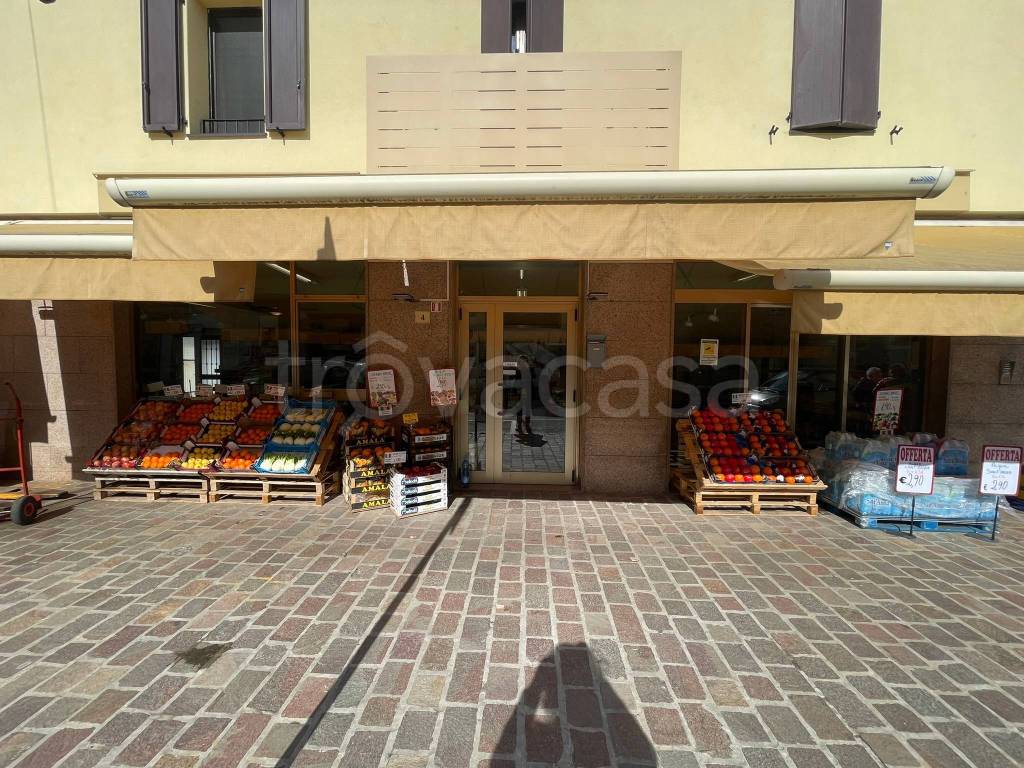 immagine annuncio 4 di 13