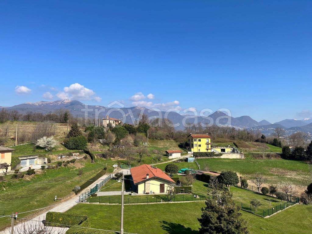 immagine annuncio 4 di 7