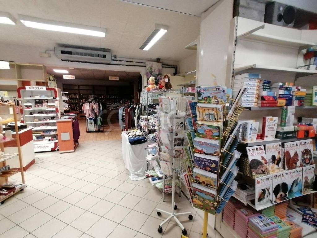 immagine annuncio 6 di 11