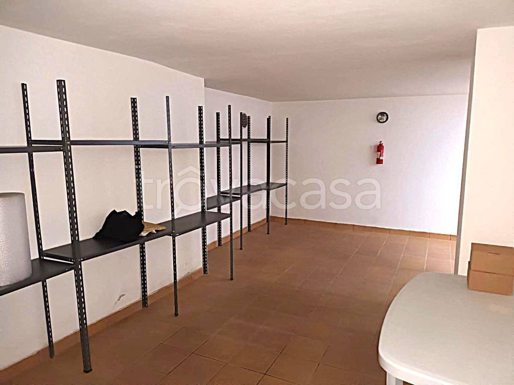 immagine annuncio 11 di 14