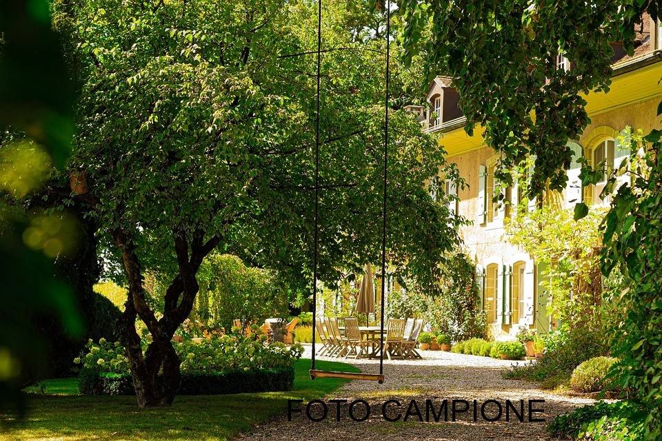 immagine annuncio 2 di 7