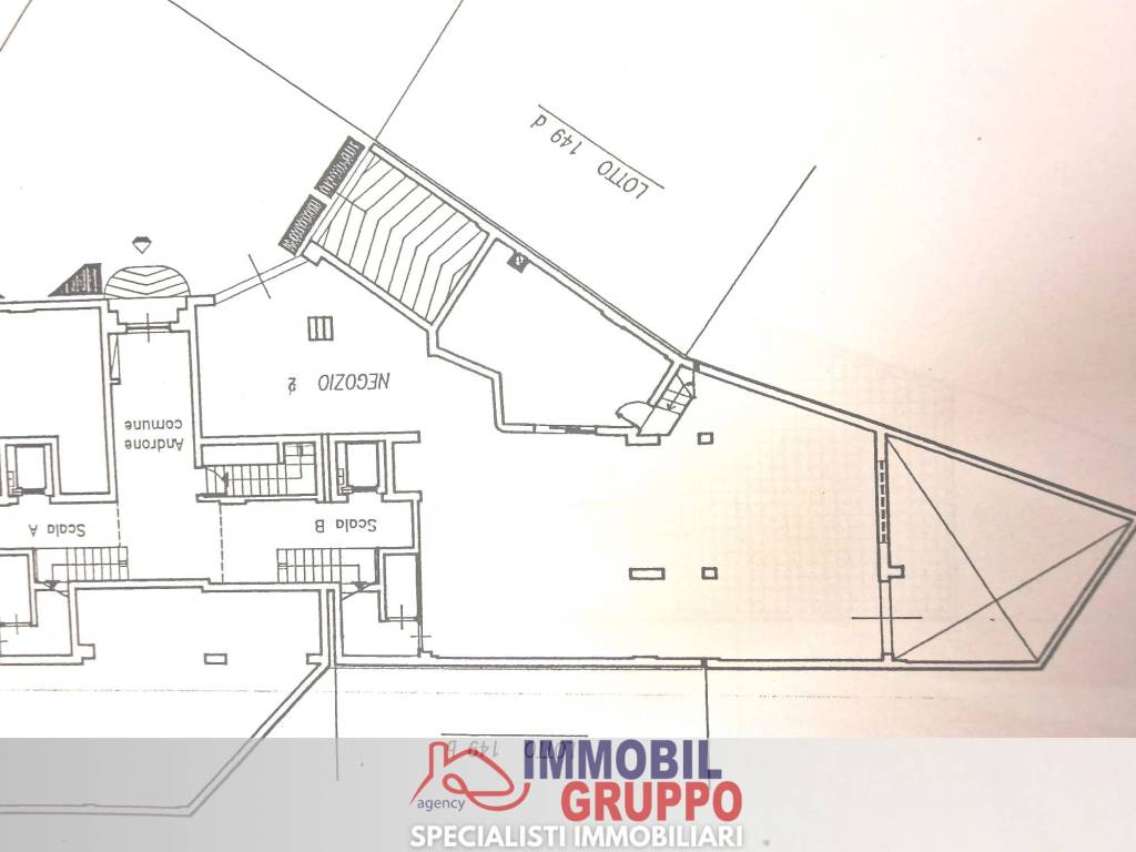 immagine annuncio 4 di 5