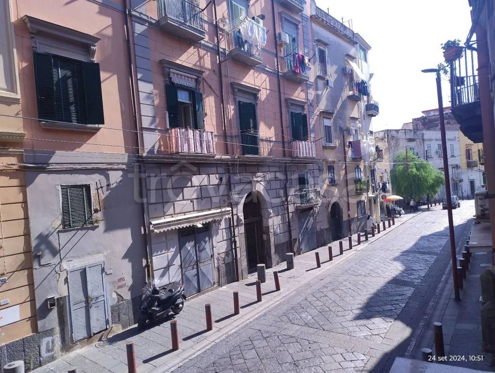 immagine annuncio 2 di 14