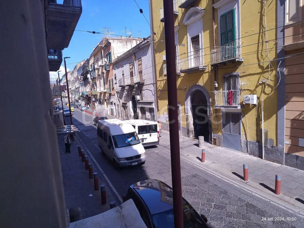 immagine annuncio 3 di 14