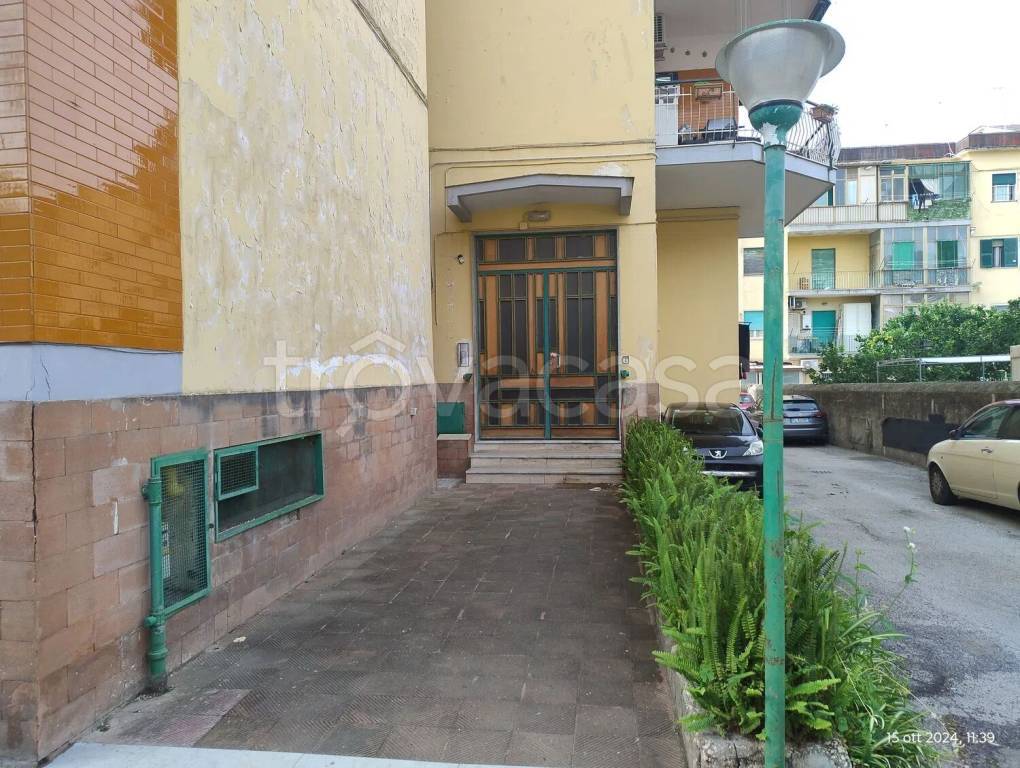 immagine annuncio 1 di 7