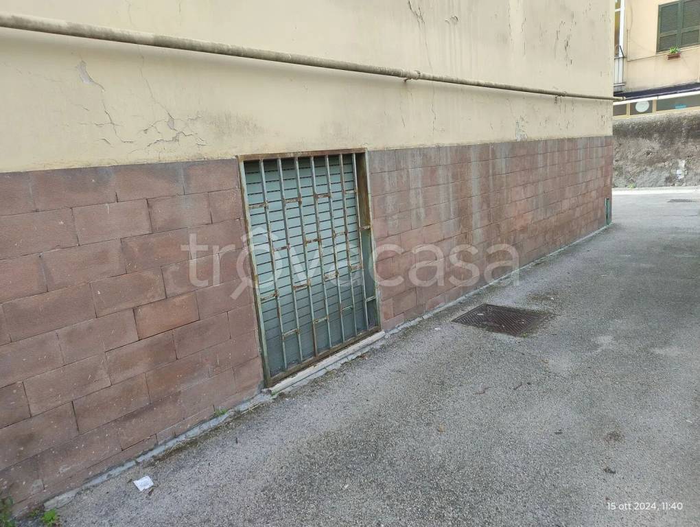 immagine annuncio 2 di 7