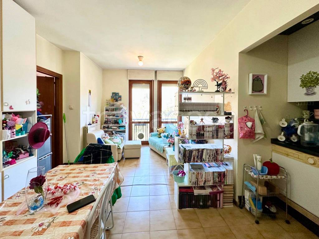 immagine annuncio 6 di 15
