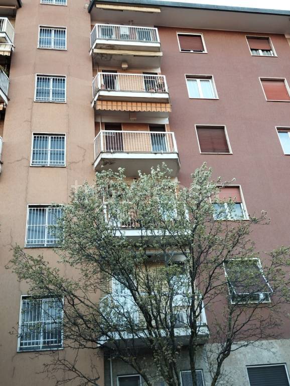 immagine annuncio 1 di 14