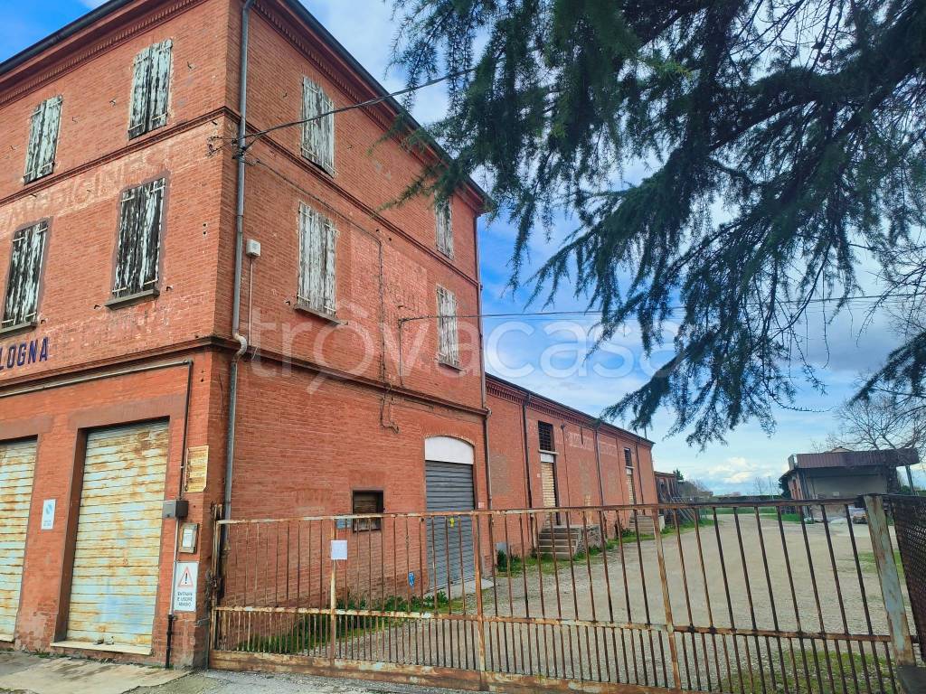 immagine annuncio 6 di 8