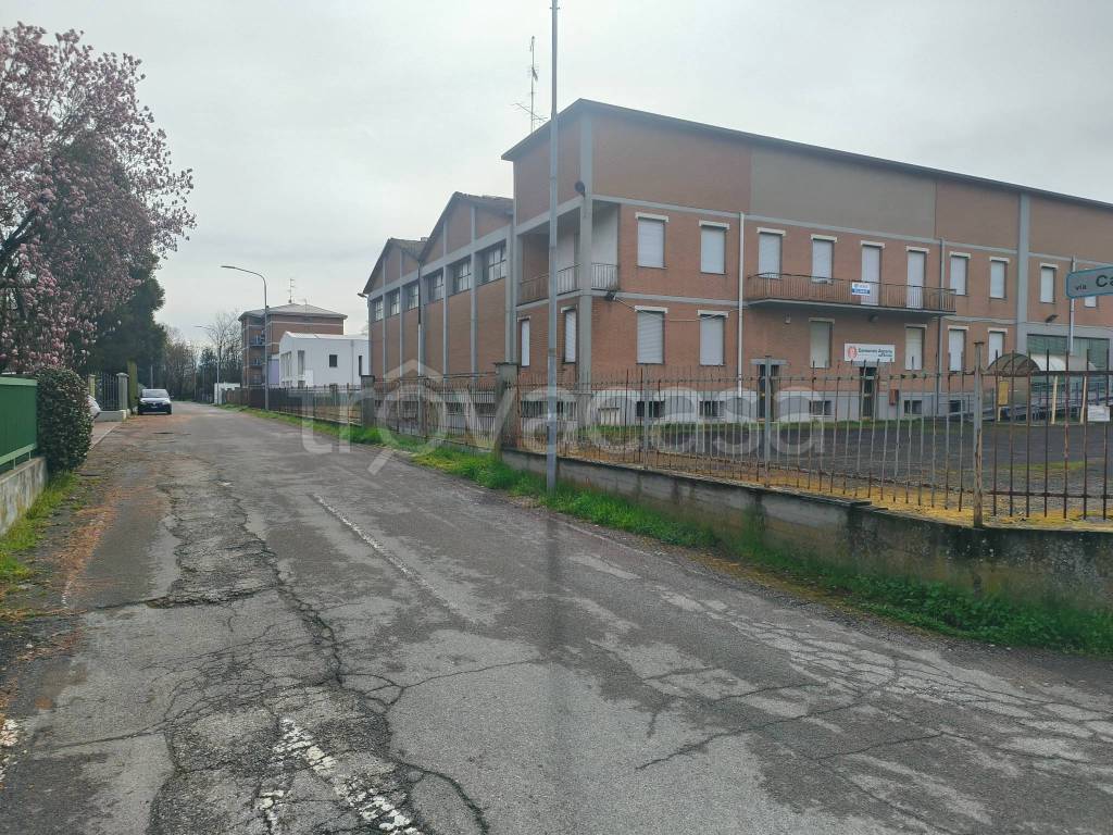 immagine annuncio 3 di 11