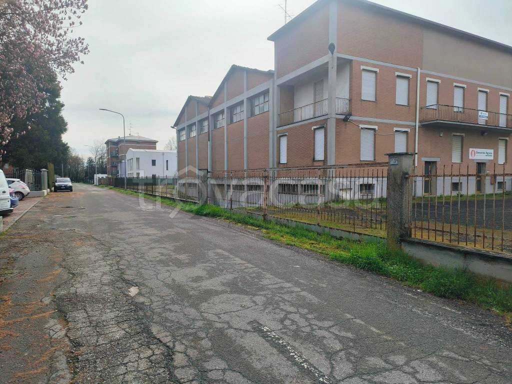 immagine annuncio 4 di 11