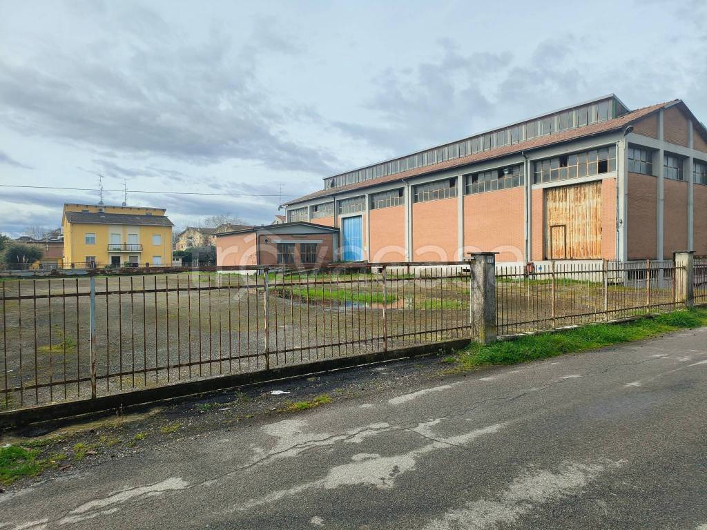 immagine annuncio 6 di 11