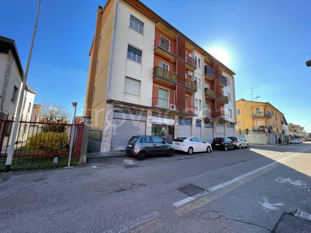 immagine annuncio 3 di 15