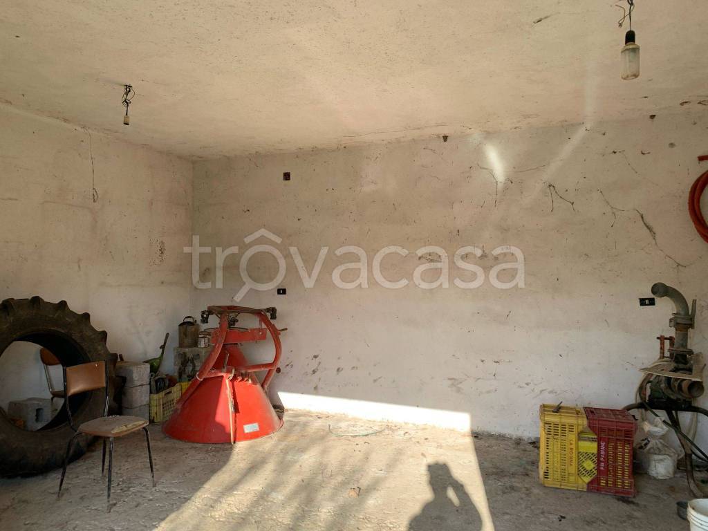 immagine annuncio 6 di 14
