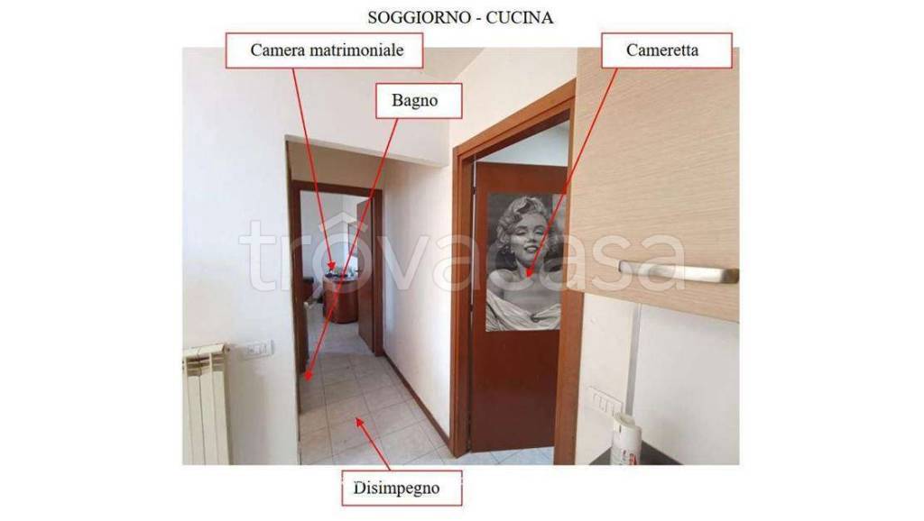immagine annuncio 9 di 15