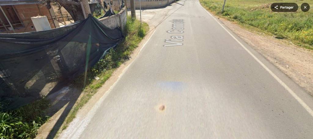 immagine annuncio 3 di 11